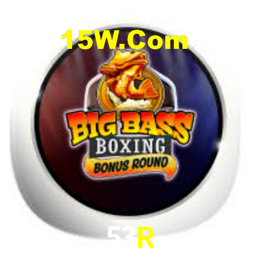 53r.com